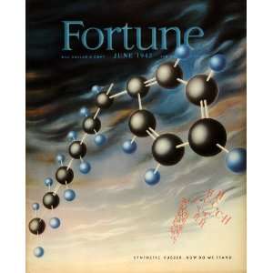   Rubber WWII Molecule Chemistry War   Original Cover