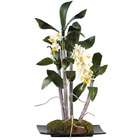 Nearly Natural Napolien Mini Dendrobium w/Rectangle Dish Silk Flower 