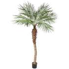 VCO 8 Potted Artificial Regal Phoenix Palm Tree