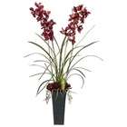    Cymbidium and Aeonium Floral Arrangement with Tall Vase in Burgundy