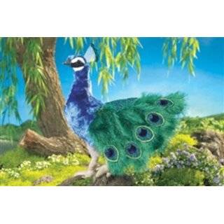 TY Beanie Baby   FLASHY the Peacock [Toy]  Toys & Games  