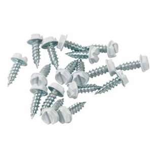  5 each Ace Hex Washer Head Self Sealing Screw (192 H169 