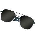 Black Aviator Sunglasses Under 100 Dollars    Black Aviator 