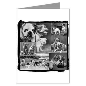 Vintage Bulldog Collage Greeting Cards Package of Pets Greeting Cards 