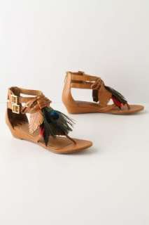 Anthropologie   Peacock Plume Sandals  