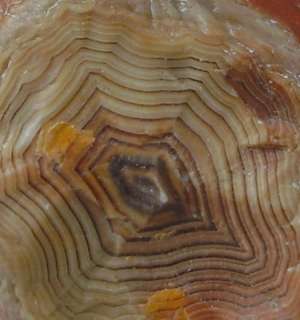 Museum Quality Banded Lake Superior Agate  