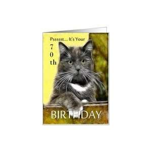    Birthday ~ Age Specific 70th ~ Cat in a box Card Toys & Games
