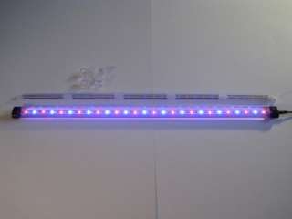 New Shining Bubble (LED Light Up Air Stone) 3 Way Color 18.5 Inches 