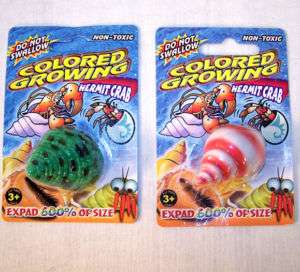 24 MAGIC GROWING HERMIT CRAB seashell novelty toy trick  