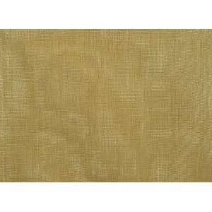  1721 Brittania in Jute by Pindler Fabric