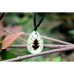  Real Amber Insect Necklace Jewelry Flower Bug (Glow in the 