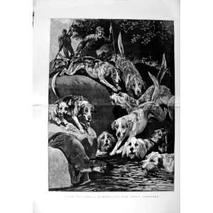  1889 Otter Hunting Cumberland Hounds Sport River Art