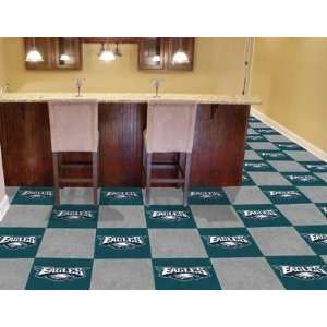  Philadelphia Eagles 20 Pack Of 18in Area/Sports/Game Room 