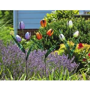  Awesome Blossoms Tulip Stake, three assorted Patio, Lawn 