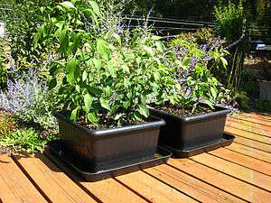   Grower 2 self watering square foot planters food 043433944909  