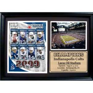  2009 AFC Champion Indianapolis Colts 12x18 Photo Stat 