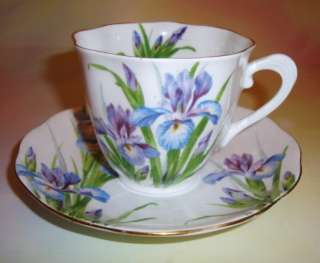 Lovely Blue Royal Albert Iris Tea Cup and Saucer Set  