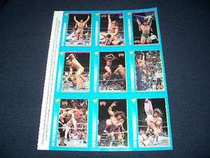 Ultimate Warrior,Rare,WWF,WWE,Trading Cards,1996,WCW  