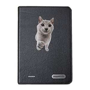  Chartreux on  Kindle Cover Second Generation  