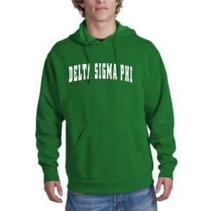  Delta Sigma Phi letterman hoodie