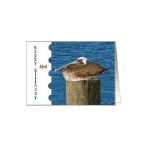  43rd Birthday Card with Brown Pelican Card Toys & Games
