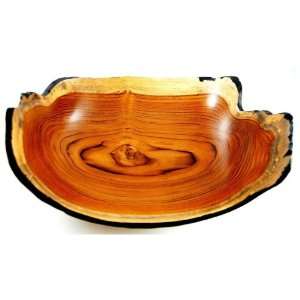  Fine Bowl (Reforested Wood)