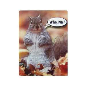  2 D Magnet Who, Me? (Magnets) (Squirrel Lovers) 