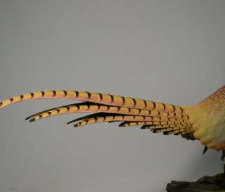 26 Ring necked Pheasant Orig Bird Carving/Birdhug  