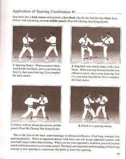 Soo Bahk Do Tang Soo Do White Belt Karate Manual + DVD  