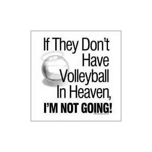  Volleyball t shirts Volleyball in Heaven Sports 