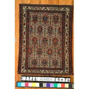    3x4 Hand Knotted Abadeh Persian Rug   36x49