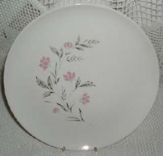 am listingpottery dinnerware made by Taylor Smith and Taylor. The 