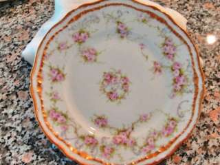 THIS DESSERT PLATE IS VERY RARE, ITS JUST STUNNING AND BELONGS IN 
