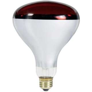 Philips 250 Watt R40 Red Heat Lamp Light Bulb  DISCONTINUED 237230 at 