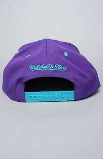   Snapback Cap in Purple Blue  Karmaloop   Global Concrete Culture