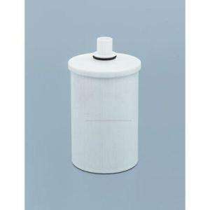 Paragon Water Systems Shower Filter Replacement Cartridge P2201RC at 
