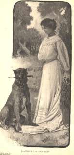 1904 illustration elizabeth lea and don pitbull mastiff ? c h  