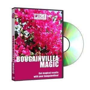 Bougainvillea Magic DVD M6244  