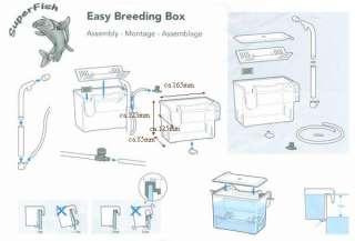 Aufzucht und Ablaichkasten Easy Breeding Box  