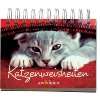Literarische KatzenKarten. 20 Postkarten.  Julia Bachstein 