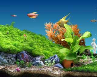 Das Süßwasseraquarium wird bei jedem Systemstart aktiviert. Sie 