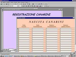 Software gestione allevamento canarini a Torregrotta    Annunci