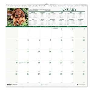  House of Doolittle Puppies Monthly Wall Calendar Office 