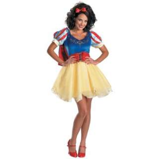 Disney Snow White Prestige Adult Costume, 60405 