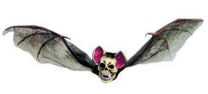 Bat With Skull Head   Decorations & Props