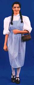 Dorothy Dress Adult Costume   Adult Costumes