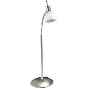   Satin Steel/Frost Glass Shade Gooseneck Desk Lamp