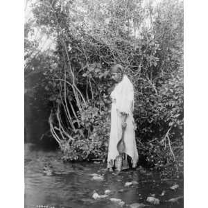  1908 photo Young Arikara Indian standing in shallow water 