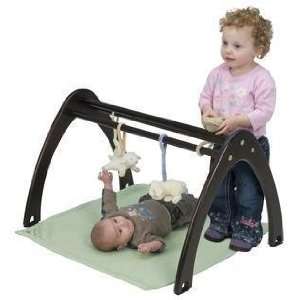  Cariboo Activity Gym Toys & Games