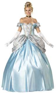 CINDERELLA ENCHANTED PRINCESS Dress Gown Costume Sm 2x  